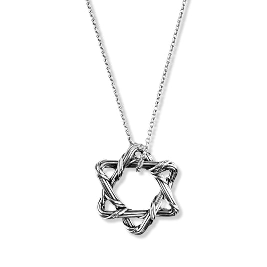 Signature Classic Medium Star of David Necklace in sterling silver