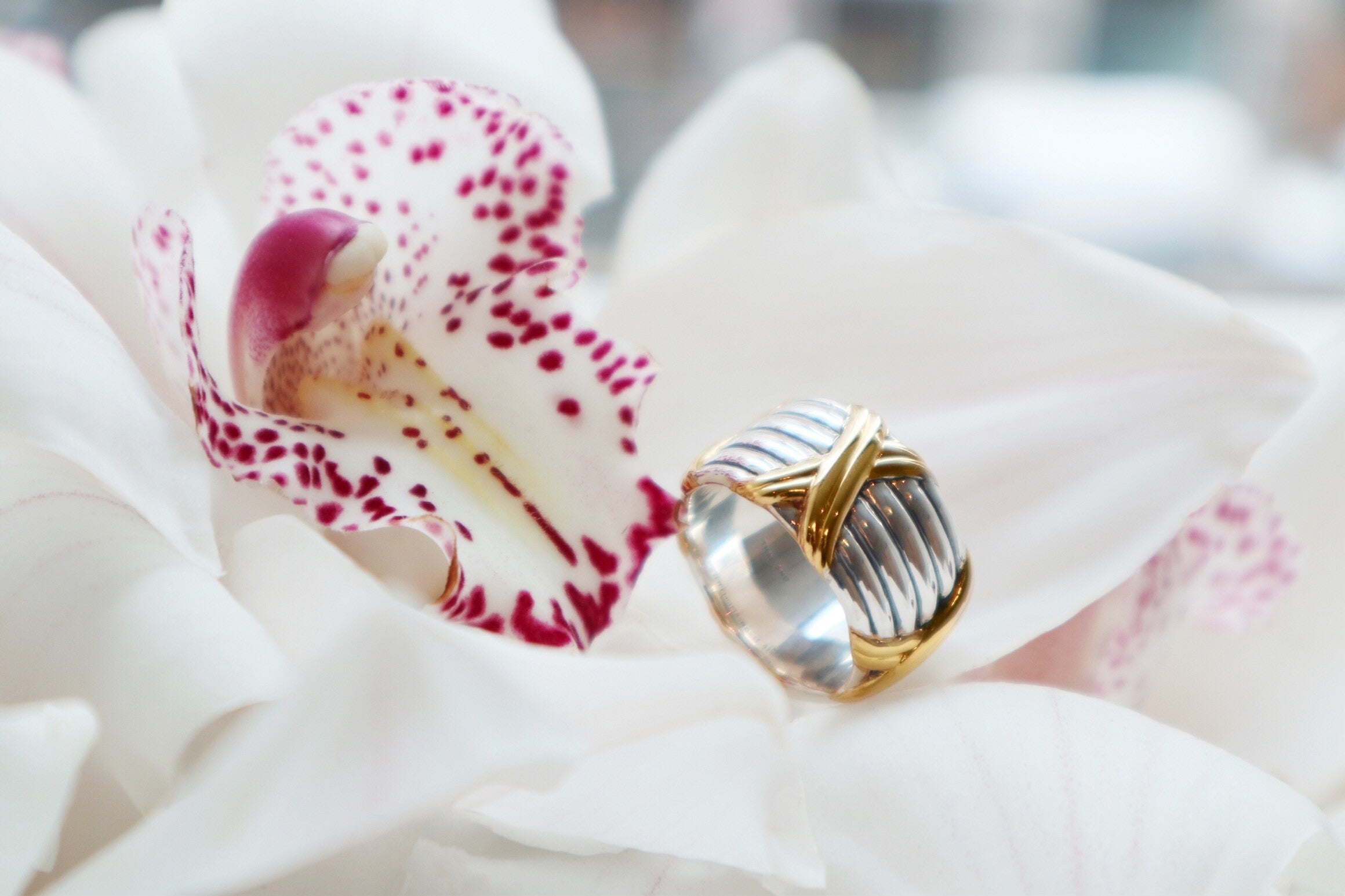 Peter Thomas Roth Fine Jewelry – 18K Gold, Sterling Silver, Diamond &a ...